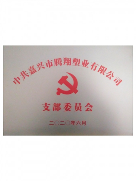 中共支部委員會(huì)